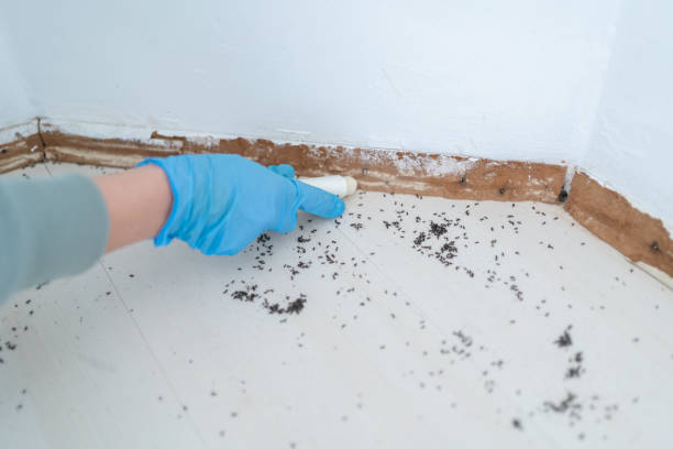 Best Commercial Pest Control Services  in Jonestown, PA